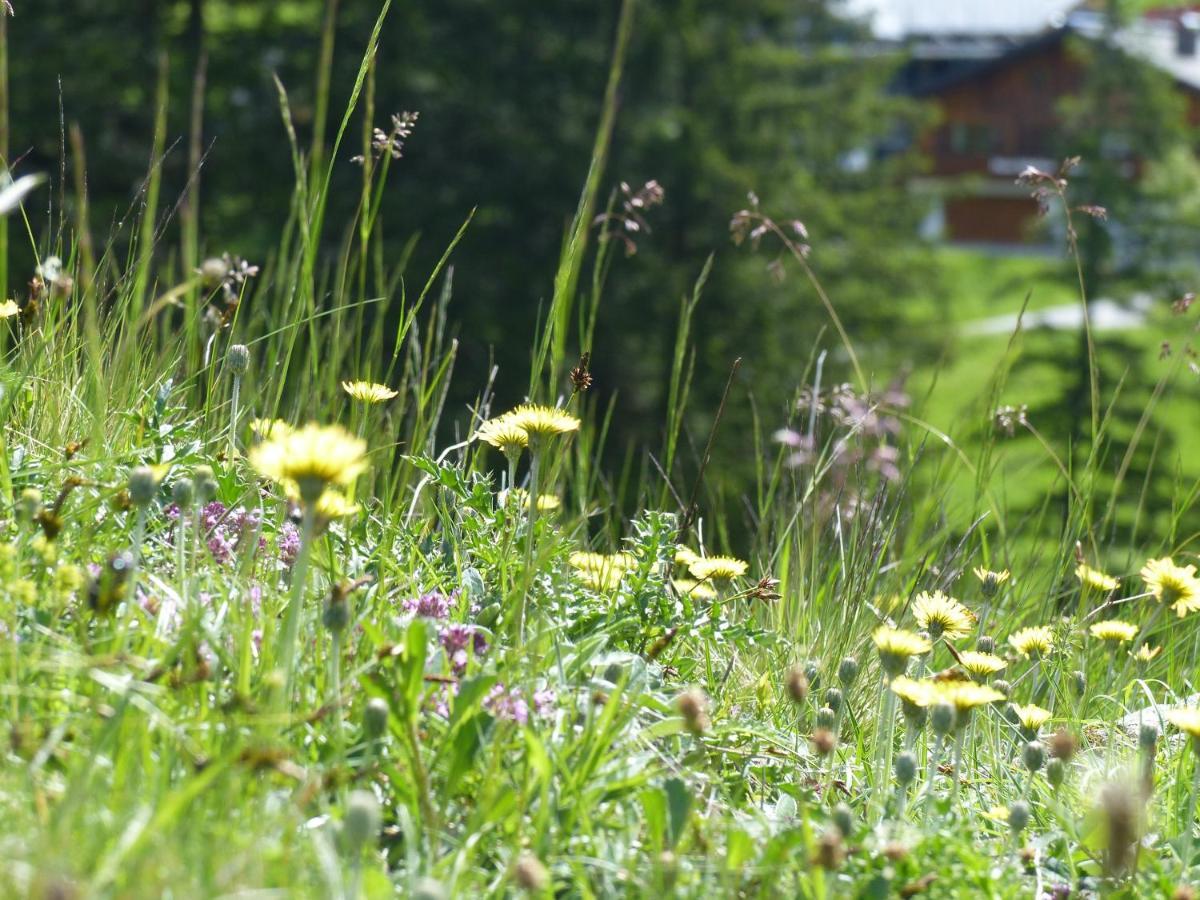 Alpinresortmontafon Garni การ์กเอลเลิน ภายนอก รูปภาพ